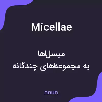 معنی micellae به فارسی معنی micellae به فارسی