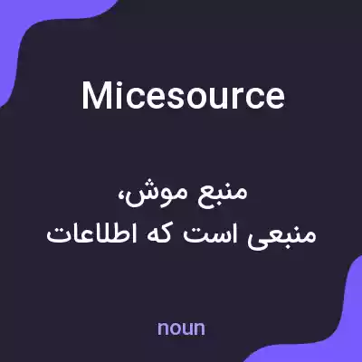 معنی micesource به فارسی معنی micesource به فارسی