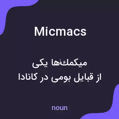 معنی micmacs به فارسی معنی micmacs به فارسی