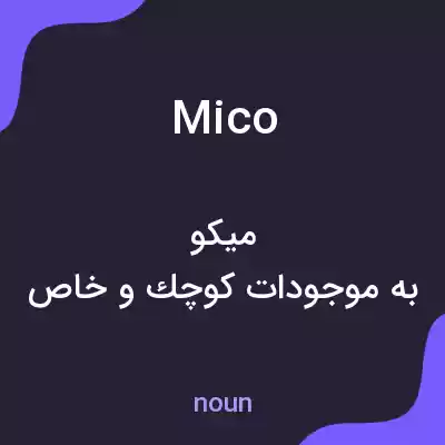 معنی mico به فارسی معنی mico به فارسی