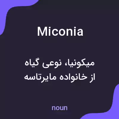 معنی miconia به فارسی معنی miconia به فارسی