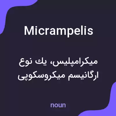 معنی micrampelis به فارسی معنی micrampelis به فارسی