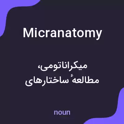 معنی micranatomy به فارسی معنی micranatomy به فارسی