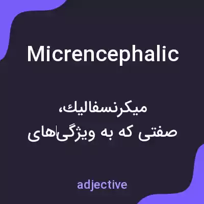 معنی micrencephalic به فارسی معنی micrencephalic به فارسی