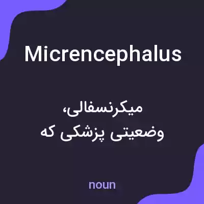 معنی micrencephalus به فارسی معنی micrencephalus به فارسی