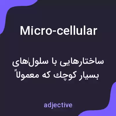 معنی micro-cellular به فارسی معنی micro-cellular به فارسی