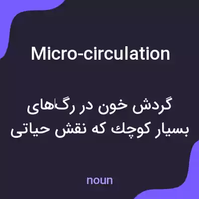 معنی micro-circulation به فارسی معنی micro-circulation به فارسی