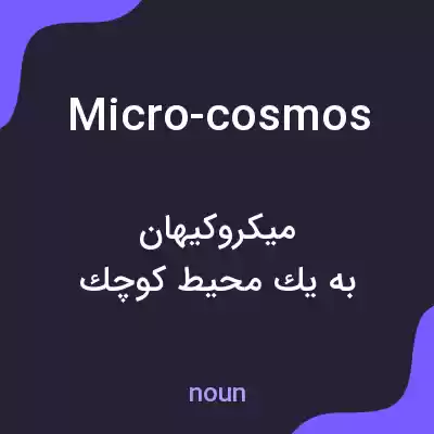 معنی micro-cosmos به فارسی معنی micro-cosmos به فارسی