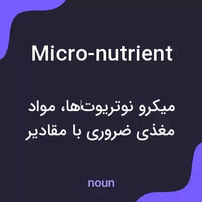 معنی micro-nutrient به فارسی معنی micro-nutrient به فارسی