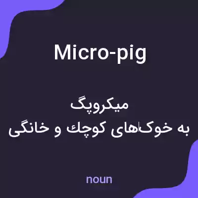 معنی micro-pig به فارسی معنی micro-pig به فارسی