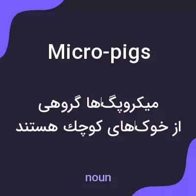 معنی micro-pigs به فارسی معنی micro-pigs به فارسی