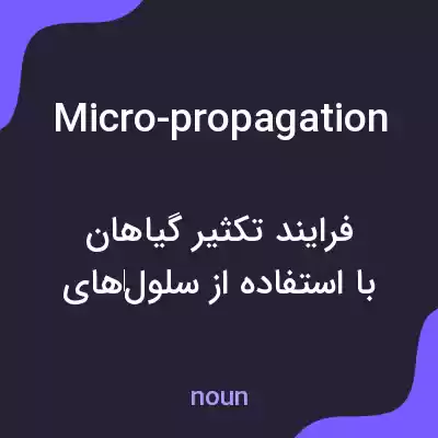 معنی micro-propagation به فارسی معنی micro-propagation به فارسی