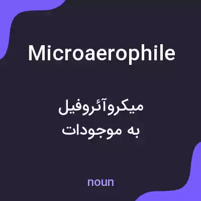 معنی microaerophile به فارسی معنی microaerophile به فارسی