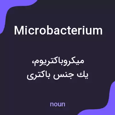 معنی microbacterium به فارسی معنی microbacterium به فارسی