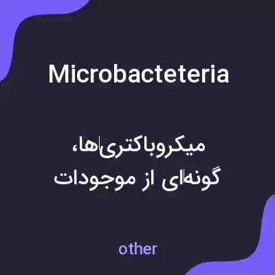 معنی microbacteteria به فارسی معنی microbacteteria به فارسی