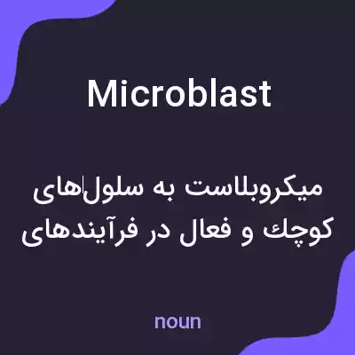 معنی microblast به فارسی معنی microblast به فارسی