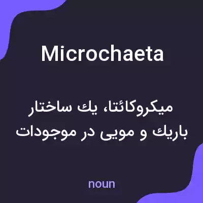 معنی microchaeta به فارسی معنی microchaeta به فارسی