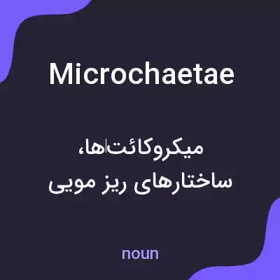 معنی microchaetae به فارسی معنی microchaetae به فارسی
