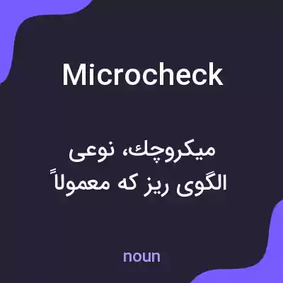 معنی microcheck به فارسی معنی microcheck به فارسی