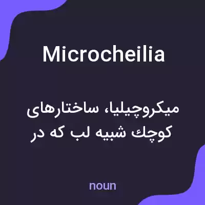 معنی microcheilia به فارسی معنی microcheilia به فارسی
