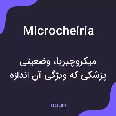 معنی microcheiria به فارسی معنی microcheiria به فارسی