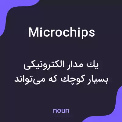 معنی microchips به فارسی معنی microchips به فارسی