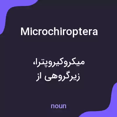 معنی microchiroptera به فارسی معنی microchiroptera به فارسی