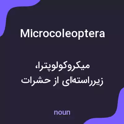 معنی microcoleoptera به فارسی معنی microcoleoptera به فارسی