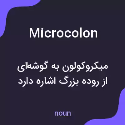 معنی microcolon به فارسی معنی microcolon به فارسی