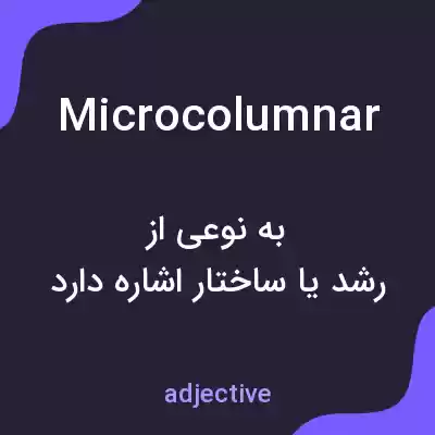 معنی microcolumnar به فارسی معنی microcolumnar به فارسی