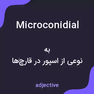 معنی microconidial به فارسی معنی microconidial به فارسی