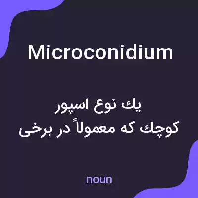 معنی microconidium به فارسی معنی microconidium به فارسی