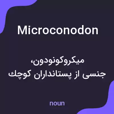 معنی microconodon به فارسی معنی microconodon به فارسی