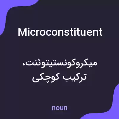 معنی microconstituent به فارسی معنی microconstituent به فارسی