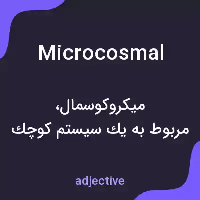 معنی microcosmal به فارسی معنی microcosmal به فارسی