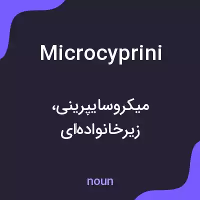 معنی microcyprini به فارسی معنی microcyprini به فارسی