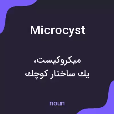 معنی microcyst به فارسی معنی microcyst به فارسی