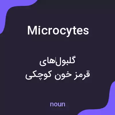 معنی microcytes به فارسی معنی microcytes به فارسی