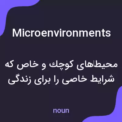 معنی microenvironments به فارسی معنی microenvironments به فارسی