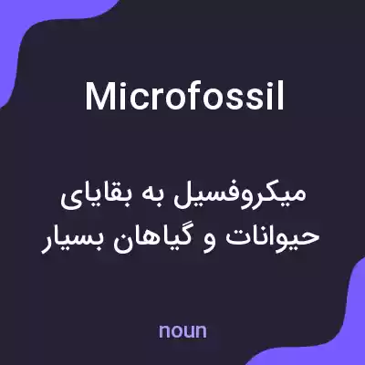 معنی microfossil به فارسی معنی microfossil به فارسی