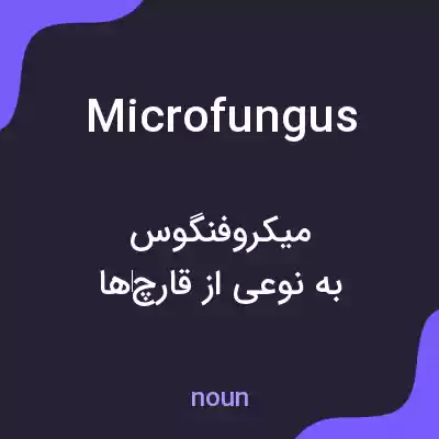 معنی microfungus به فارسی معنی microfungus به فارسی