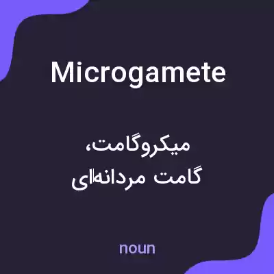 معنی microgamete به فارسی معنی microgamete به فارسی