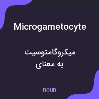 معنی microgametocyte به فارسی معنی microgametocyte به فارسی