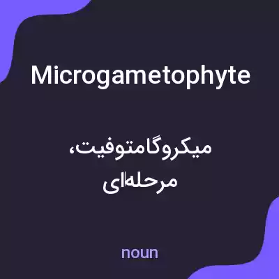 معنی microgametophyte به فارسی معنی microgametophyte به فارسی
