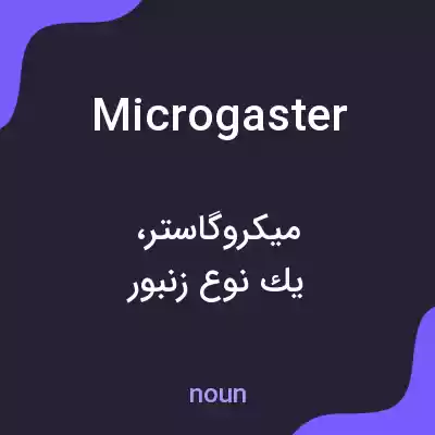 معنی microgaster به فارسی معنی microgaster به فارسی