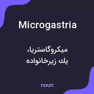 معنی microgastria به فارسی معنی microgastria به فارسی
