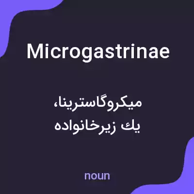 معنی microgastrinae به فارسی معنی microgastrinae به فارسی