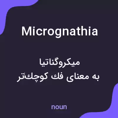 معنی micrognathia به فارسی معنی micrognathia به فارسی
