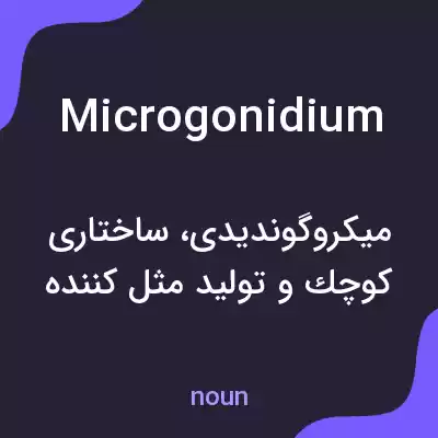 معنی microgonidium به فارسی معنی microgonidium به فارسی