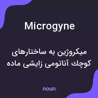 معنی microgyne به فارسی معنی microgyne به فارسی